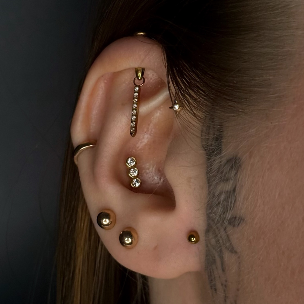 1PC G23 Titanium Hidden Vertic - Body Jewelry Vertical Labret 评论和价格