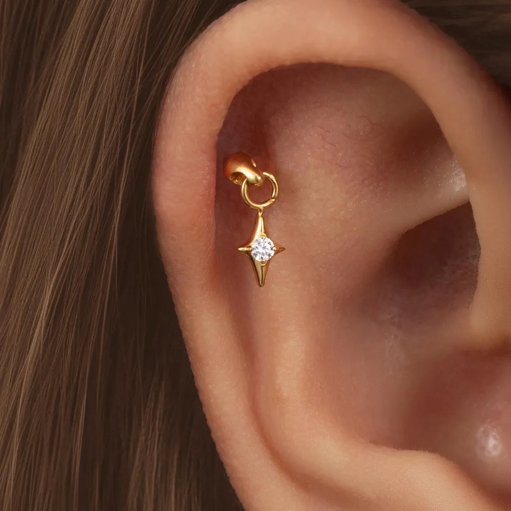 1PC G23 Titanium Hidden Vertic - Body Jewelry Vertical Labret 评论和价格