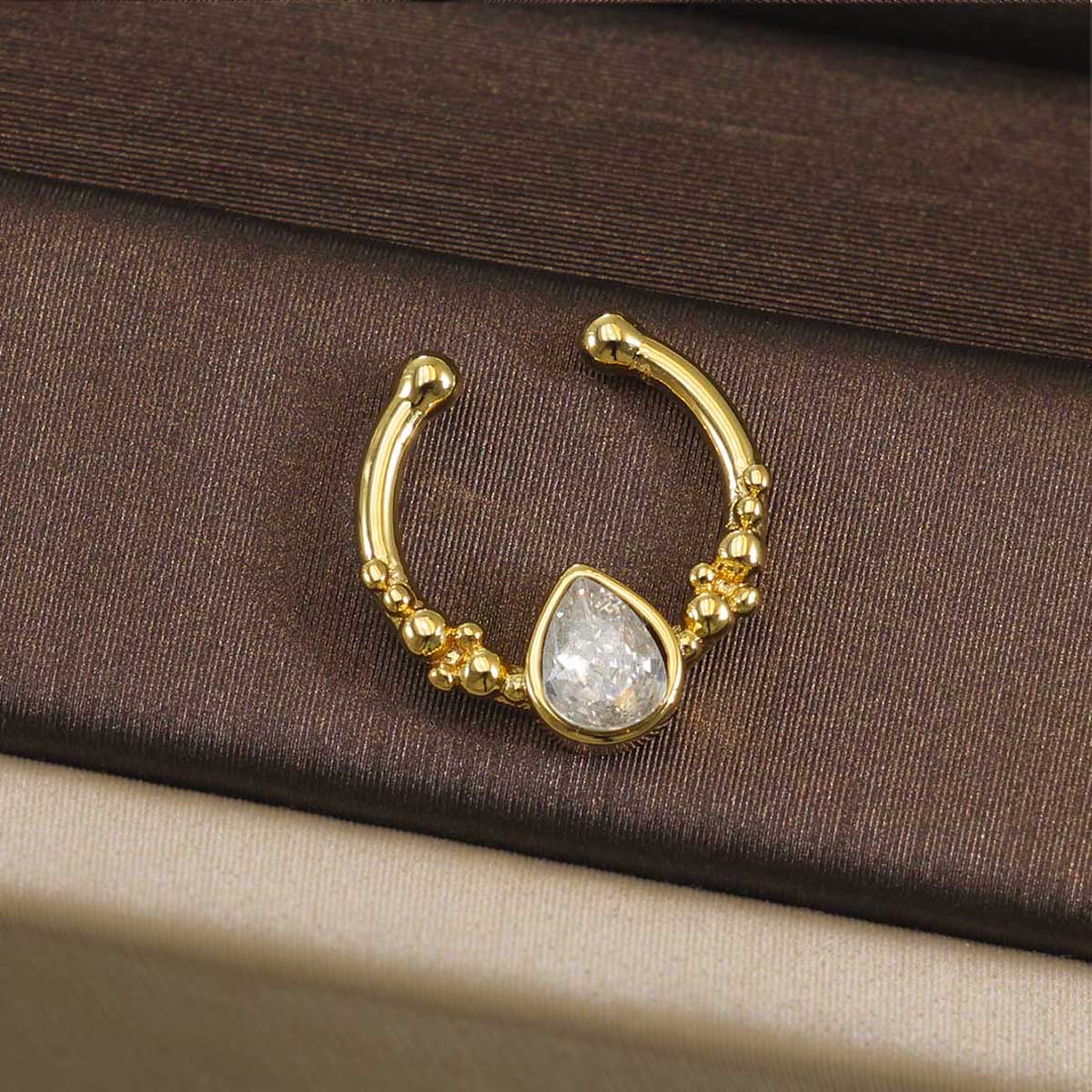 316L Stainless Steel Septum Cl - Helix Cartilage Ring 评论和价格
