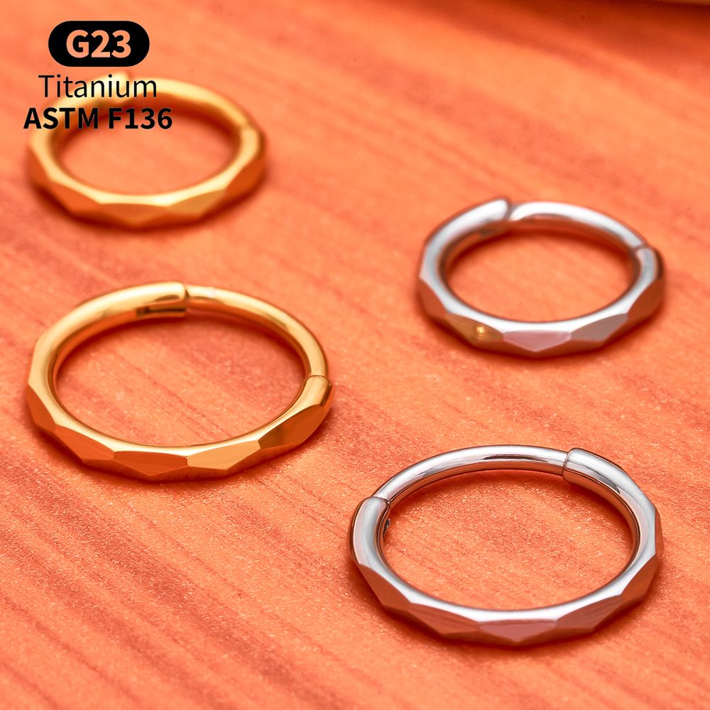 G23 Titanium Faceted CZ Hinged - Helix Cartilage Ring 评论和价格