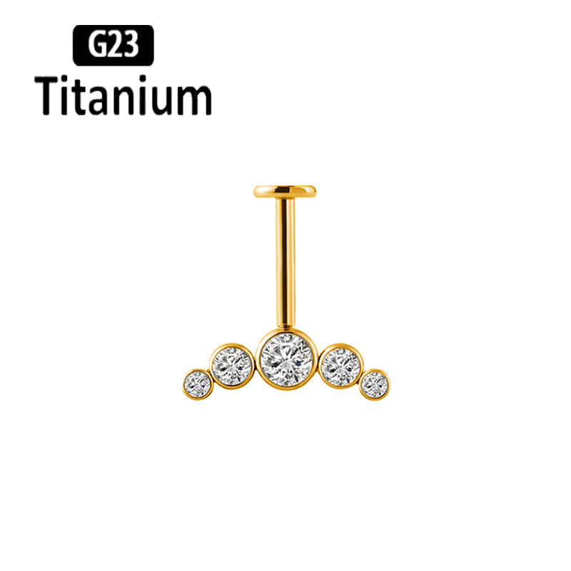 G23 Titanium Ear Piercing Inte - Body Jewelry Vertical Labret 评论和价格