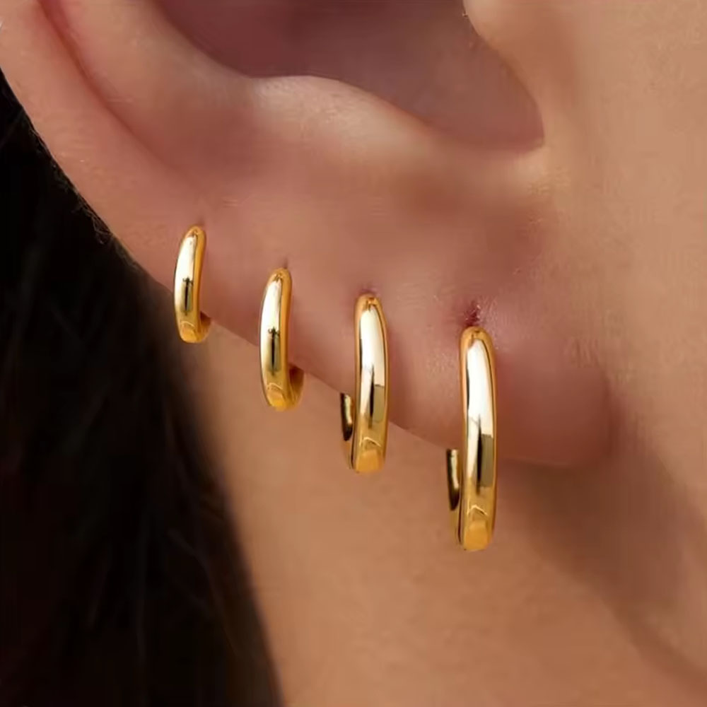 4Pairs/4Pcs Stainless Steel Ci - Helix Cartilage Ring 评论和价格