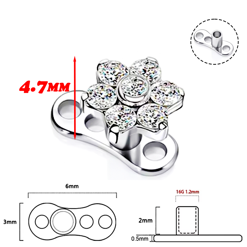 F136 Titanium Alloy High-Quali - Body Jewelry Implants 评论和价格